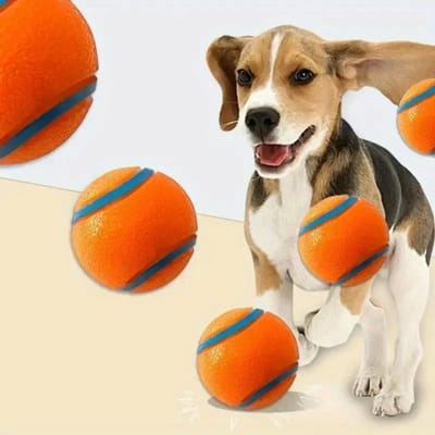 Bovista Honden Speelgoed - Hond - Speelgoed - Dog Toy - Bal - Oranje - 6 cm 4st