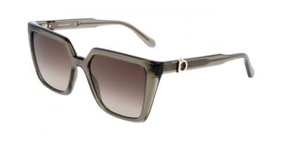 Ferragamo SF2058SE Transparent khaki 54/17/140 WOMAN Zonnebrillen