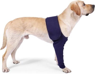 Herstelhuls voor Honden, Chirurgische Herstel Sleeve voor Voorpoot, Bescherming bij Letsel (Blauw, M)