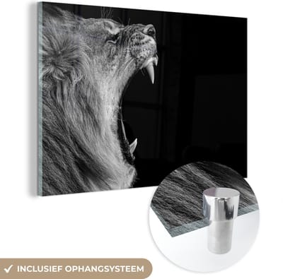 Glasschilderij - Dieren - Leeuw - Natuur - Zwart-wit - Acrylglas - Foto op glas - Schilderijen woonkamer - 150x100 cm - Schilderij leeuw - Wanddecoratie glas - Muurdecoratie