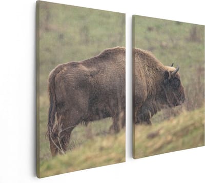 Artaza Canvas Schilderij Tweeluik Bizon in het Gras - 80x60 - Foto Op Canvas - Canvas Print