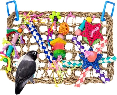 Vogel Foerageerspeelgoed - Vogelkauwspeeltje - Mentale Stimulatie - Duurzaam Zeegras - 30x20 cm - Stro