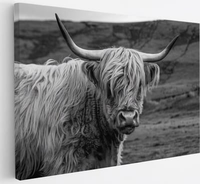Saammp Canvas Schilderij - Schotse Hooglander Koe in de wei - Zwart-Wit - Dieren - Portret - 30x20 - Foto op canvas - Wanddecoratie - muurdecoratie Woonkamer - Slaapkamer decoratie - Canvas Print
