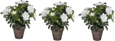 Mica Decorations Kunstplant - 3x - Azalea - groen/wit - 27 cm - Met mooie bloemen