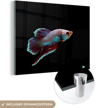 MuchoWow® Glasschilderij 160x120 cm - Schilderij acrylglas - Vis - Dieren - Licht - Foto op glas - Schilderijen