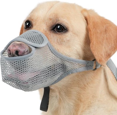 Ademend Nylon Hondenmuilkorf voor Kleine en Middelgrote Honden - Anti-Blaffen en Kauwen Preventie (Grijs)