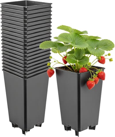 Garronda Set van 20 kunststof bloempotten met poten voor aardbeien en frambozen (Zwart, 12 x 12 x 21 cm – 2 L) GD-KW-F