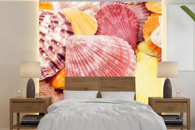 Behang - Fotobehang Schelpen - Rood - Geel - Strand - Zomer - Breedte 350 cm x hoogte 350 cm