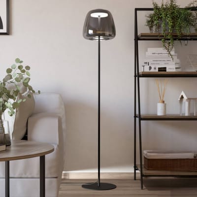 EGLO connect.z Alfero-Z Staande lamp - RGB - Staal|Glas - Zwart|Chroom