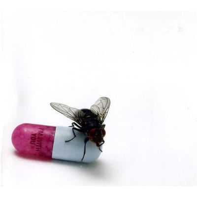 CD RED HOT CHILI PEPPERS  Im With You  9362495648 Warner Bros. Re 2011 Europa Rock Gebruikt black