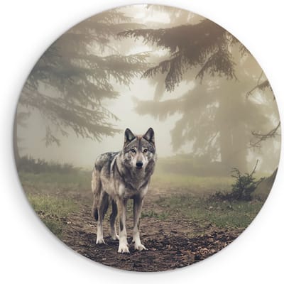 Saammp Muurcirkel Hout - Wolf in een bos met mist - Dieren - Natuur - Ø 90 - Wandcirkel - Wanddecoratie Cirkel - muurdecoratie Woonkamer - Slaapkamer decoratie - Rond Schilderij