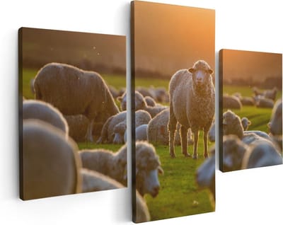 Artaza Canvas Schilderij Drieluik Kudde Schapen bij Zonsondergang - 90x60 - Foto Op Canvas - Canvas Print