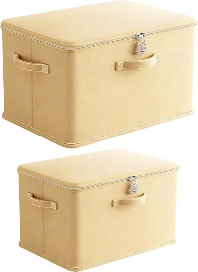 Vouwbare Opbergdozen met Deksel en Handvat, Ideaal voor Kleding, Schoenen en Medicijnen, Set van 2 in Verschillende Maten