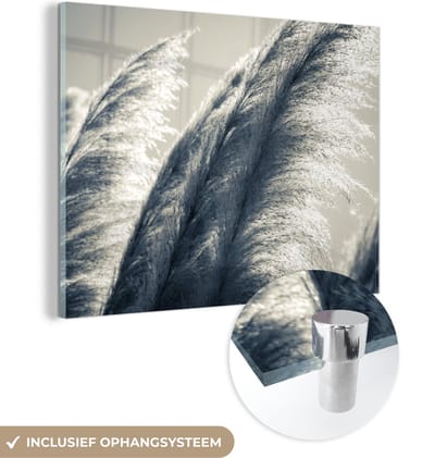 MuchoWow® Glasschilderij 40x30 cm - Schilderij acrylglas - Pampasgras - Zwart - Wit - Natuur - Foto op glas - Schilderijen