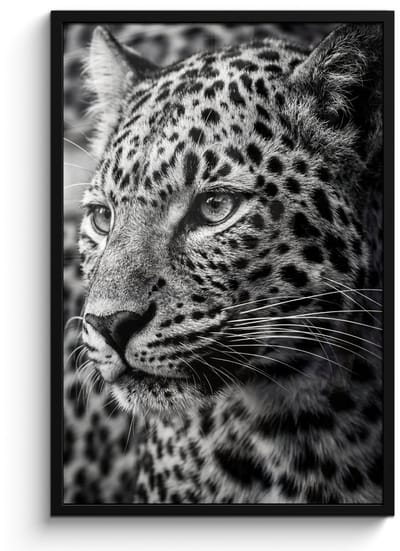 Poster in lijst - Fotolijst 60x90 cm - Posters - Luipaard - Zwart - Wit - Oog - Posterlijst zwart - Decoratie - Wanddecoratie woonkamer - Muurdecoratie slaapkamer