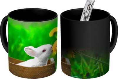 Magische Mok - Foto op Warmte Mokken - Koffiemok - Konijn - Paardenbloem - Gras - Magic Mok - Beker - 350 ML - Theemok