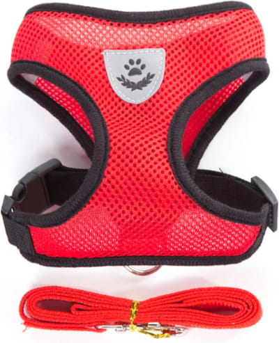 Verstelbare katten / hondentuig met gratis looplijn - Maat M - Hondenharnas -  Anti trek - Voor kleine honden, puppy's en normale katten -  No pull harnas - Harness hond - Honden Harnas - Kattentuigje met looplijn - Rood