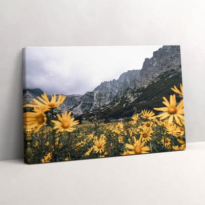 Wallfluent Foto Op Canvas Weidebloemen in het Tatragebergte - 30 x 20 cm - Geel Schilderij Canvas - Landschappen Canvas Doek Foto - Natuur Schilderij Doek - Landschappen Schilderijen Op Canvas Doek
