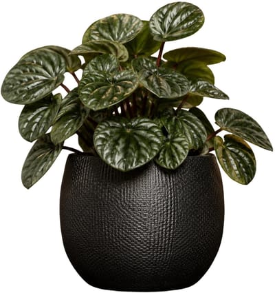 Mica Decorations Plantenpot - keramiek - antraciet glans / ribbels - D13 x H14 cm - bloempot Porto