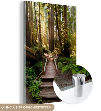 MuchoWow® Glasschilderij 120x180 cm - Schilderij acrylglas - Jungle - Natuur - Trap - Bomen - Foto op glas - Muurdecoratie woonkamer - Wanddecoratie slaapkamer - Schilderijen