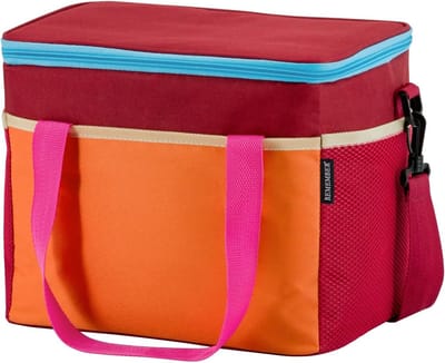 Koelbox - Isolatietas - Picknick en Uitjes - Praktisch Ontwerp - 16 Liter - Multicolor