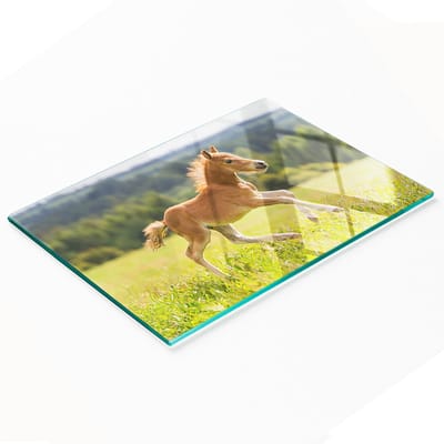 Decoratieve glazen keukensnijplank met galopperend veulen, 80x52 cm