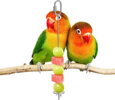 Vogel Snack Spies - Fruitstokhouder Groenterooster - Vogels Voeren - Simuleert Wilde Eetgewoonten - 20 x 5 x 4 cm