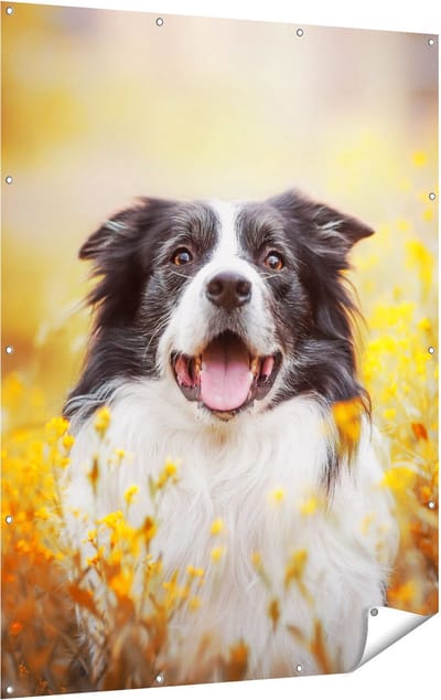 Gards Tuinposter Blije Hond tussen de Bloemen - 120x160 cm - Tuindoek - Tuindecoratie - Wanddecoratie buiten - Tuinschilderij