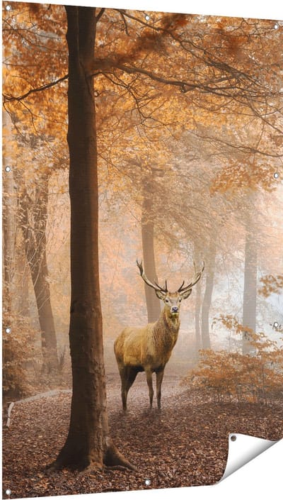 Gards Tuinposter Hert in het Bos - Herfst - 100x150 cm - Tuindoek - Tuindecoratie - Wanddecoratie buiten - Tuinschilderij