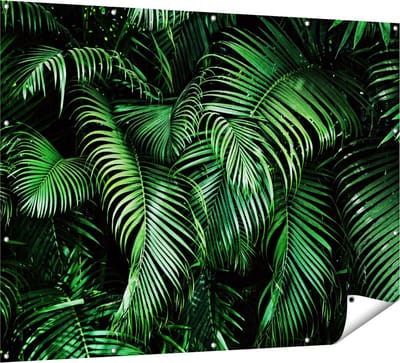 Gards Tuinposter Tropische Palm Bladeren - Groen - 160x120 cm - Tuindoek - Tuindecoratie - Wanddecoratie buiten - Tuinschilderij