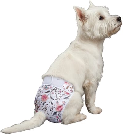 Loopsheidbroekje hond - roze bloem - maat M - voor middelgrote honden - herbruikbaar - hondenbroekje - hondenluier - loopsheid - ongesteldheid - voorkomt ongewenste zwangerschappen bij teefjes - milieuvriendelijk - verantwoord - perfecte pasvorm