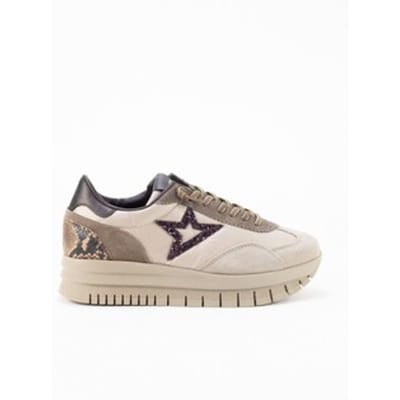 Lage Sneakers Cetti C1259