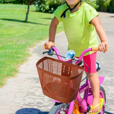 Fietsmand Universeel - Fietsmand Opbergbox - Boodschappen Vervoeren - Eenvoudig te Installeren - 33x22.5x25cm - Bruin