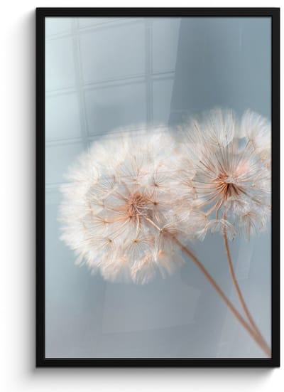 Poster in lijst - Fotolijst 60x90 cm - Posters - Paardenbloemen - Pluisjes - Wit - Posterlijst zwart - Decoratie - Wanddecoratie woonkamer - Muurdecoratie slaapkamer