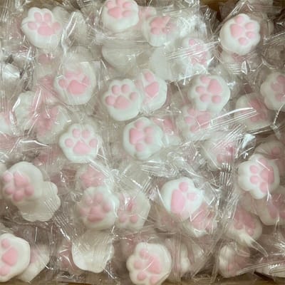 Enfants Mini Jouets Anti-Stress Griffe de Chat Squishy Doux Mignon Patte de Chat Rebond Lent Pincer Jouet de Décompression Pour Enfants Cadeaux de Noël