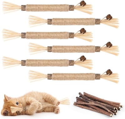 Interactief Katten Speelgoed met Kattenkruid - 21 Stuks Kauwranden en Natuurlijke Veertjes voor Tandverzorging en Stressvermindering