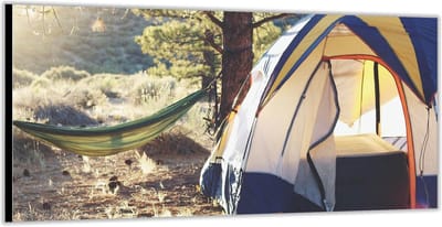 Dibond –Tent met Hangmat in de Bossen– 200x100 Foto op Aluminium (Wanddecoratie van metaal)