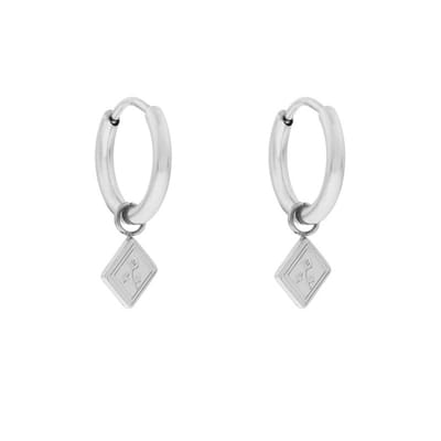 Essentialistics - Oorbellen minimalistisch met hanger plant - Nikkelvrij - Zilverkleur - Stainless steel (verkleurt niet) - Kliksluiting