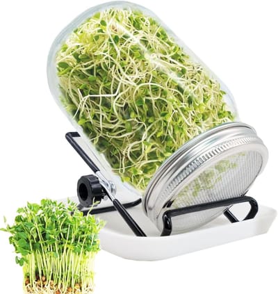 Germination Set 1000 ml voor het Kiemen van Alfalfa, Broccoli en Mungbonen met Waterbak en RVS Filterdeksel
