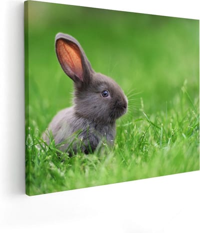 Artaza Canvas Schilderij Konijn In Gras - 50x40 cm - Wanddecoratie Dierenkop - Muurdecoratie Bos - Schilderijen Op Canvas Dieren