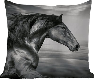 Tuinkussen - Paard - Dieren - zwart - Wit - 40x40 cm - Weerbestendig
