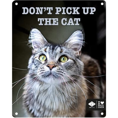 I Love Happy Cats - Anneleen Bru - I Love Happy Cats Bord 'don't Pick Up' 20x25cm Meerkleurig - 174199