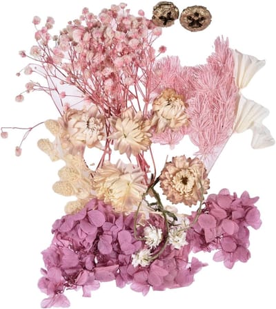 Gedroogde Bloemen - Natuurlijke Decoratie - Hars Knutselen - 10 Kleuren Set - 17x12cm Verpakking - Meerkleurig