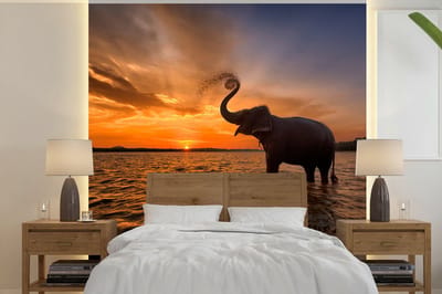 Behang - Fotobehang Olifant - Zee - Dieren - Zonsondergang - Oranje - Breedte 280 cm x hoogte 280 cm
