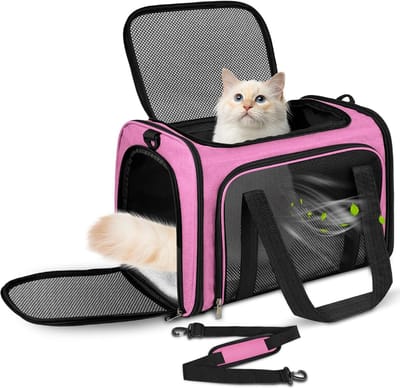 SnelShoppen - Transporttas voor Kat en Hond, Opvouwbare Dieren Transporttas met Zachte Mat en Ademend Gaas, Draagbare Kattenzak met Schouderriem en Za