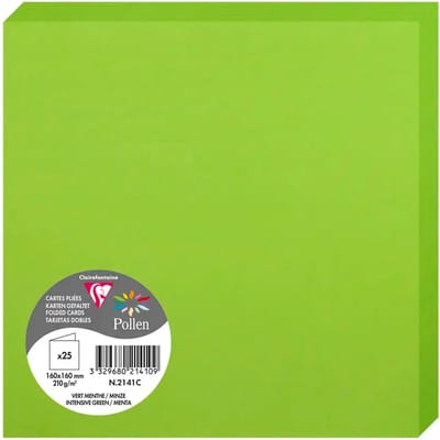 Gevouwen kaarten Clairefontaine Pollen (x25)