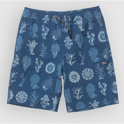 Salty Crew Crew Volley Kids Boardshorts blauw