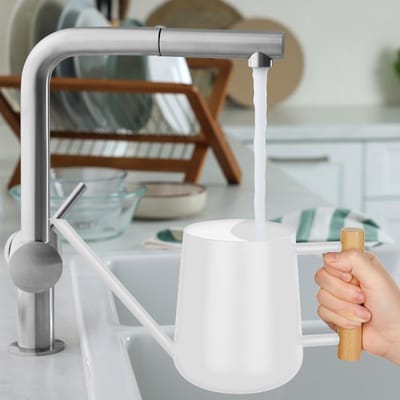 QTTVBTNA – Gieter - Planten waterkan - Binnentuingieter - Nauwkeurige Irrigatie - Lekvrij Design - Roestvrij Staal - Handgepolijst Oppervlak - Ergonomisch Houten Handvat - Wit - 1 Stuk
