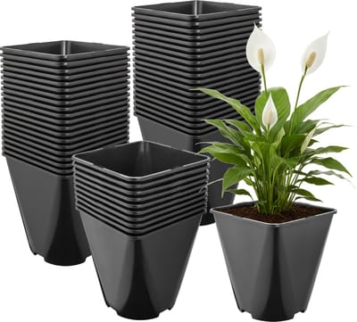 Garronda Set van 50 afgeronde vierkante kunststof kweekpotten met drainagegaten voor tuin (Zwart, 18 x 18 x 20 cm (5L)) GD-KW-SR