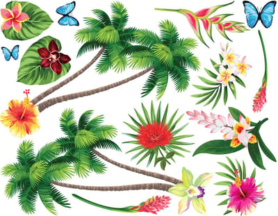 Muurstickers - Tropische paradijsbloemen - Transparante achtergrond - 40x50cm